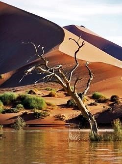 ПУСТИНИ, РЕКИ И ДИВА ПРИРОДА –ОТ ВИНДХУК ДО ВОДОПАДИТЕ ВИКТОРИЯ - НАМИБИЯ, 
БОТСВАНА, ЗИМБАБВЕ, ЗАМБИЯ #8
